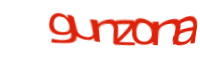 CAPTCHA d'image